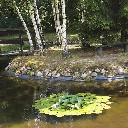 Siedlisko Gruszki Puszcza Bialowieska Narewka Екстер'єр фото