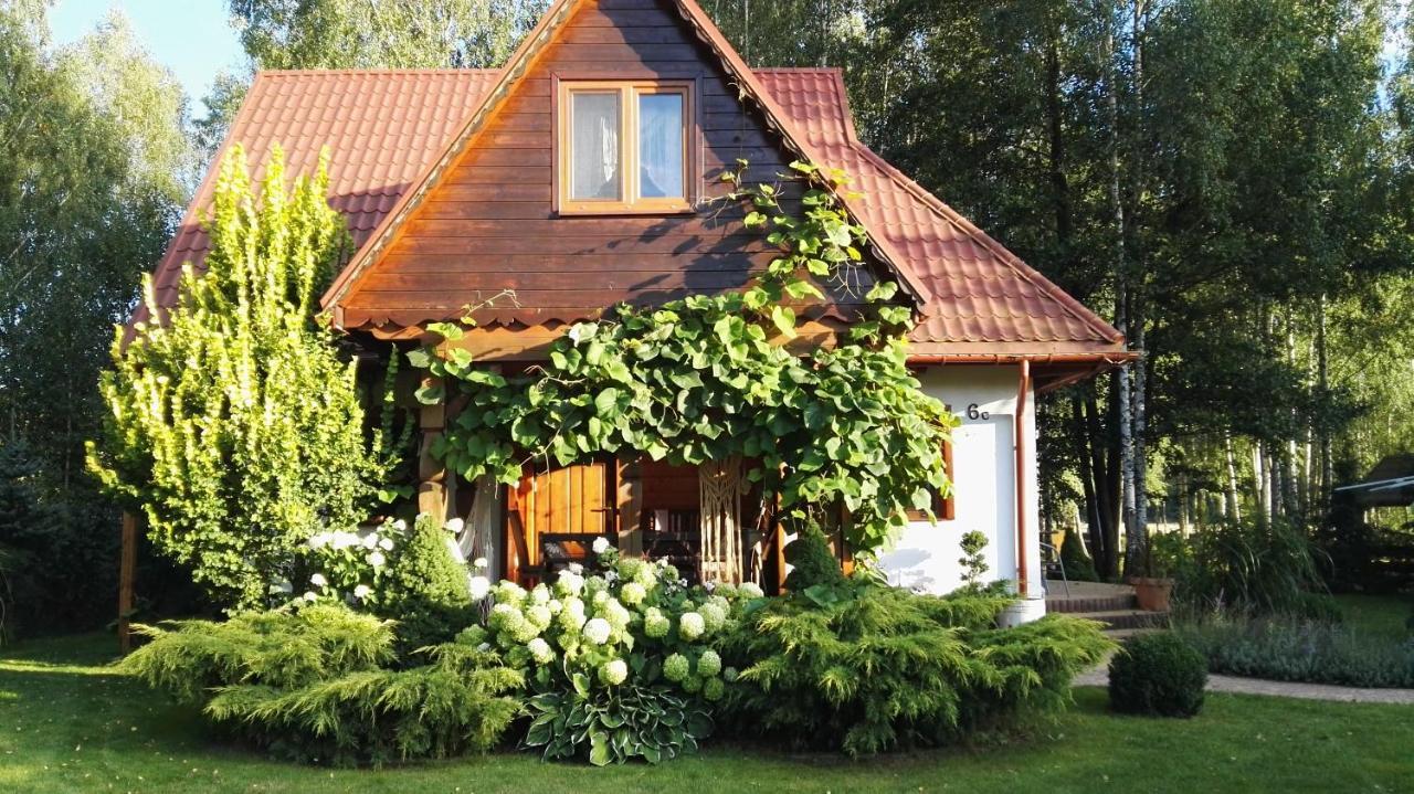 Siedlisko Gruszki Puszcza Bialowieska Narewka Екстер'єр фото