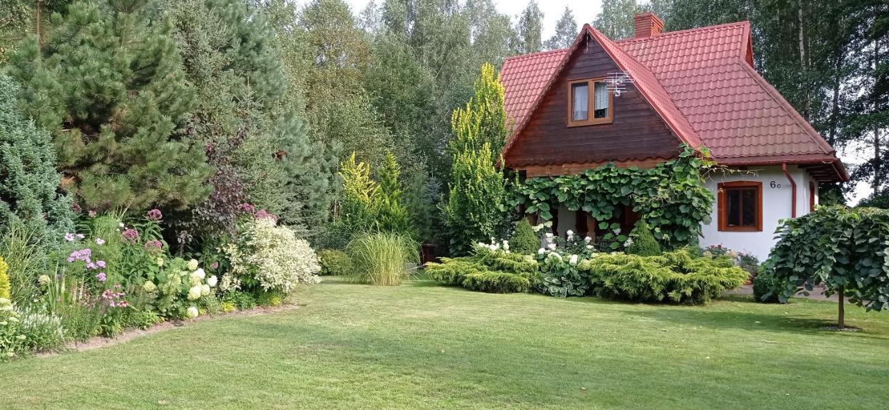 Siedlisko Gruszki Puszcza Bialowieska Narewka Екстер'єр фото